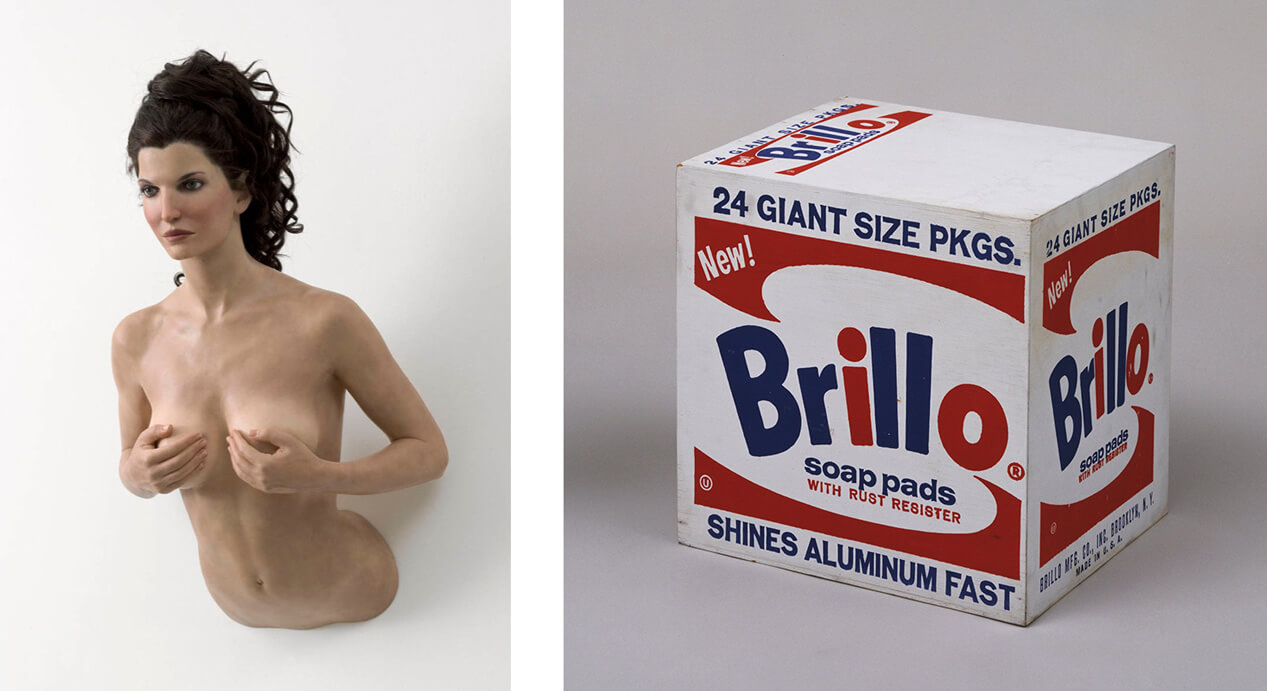 The Supermodel and the Brillo Box